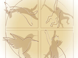 logo_animalethics_for_mail